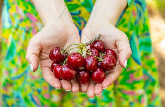 Beneficiile consumului de cireșe: O superfructă gustoasă și plină de nutrienți